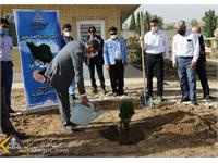 استقبال زاگرس جنوبی با کاشت نهای در روز درختکاری 14