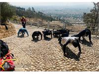 برگزاری دوره آموزشی  نجات در ارتفاع 5