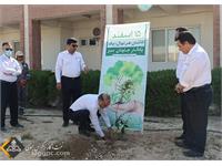 روز درختکاری 1401 11