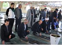 برگزاری دومین دوره المپیاد فرهنگی ورزشی ایثارگران زاگرس جنوبی 4