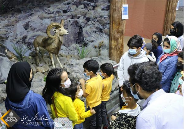 بازدید فرزندان کارکنان منطقه عملیاتی سرخون  از کانون پرورش فکری  9