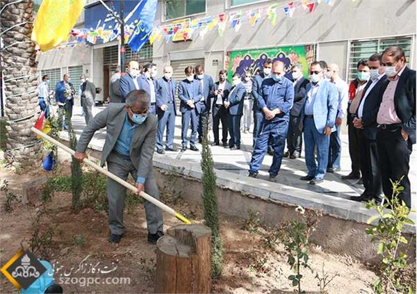 استقبال زاگرس جنوبی با کاشت نهای در روز درختکاری 2