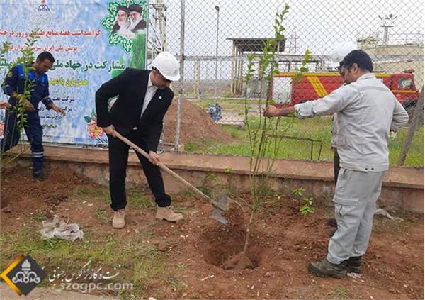 مشارکت شرکت نفت مناطق مرکزی ایران در جهاد ملی کاشت یک میلیارد درخت