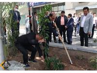 روز درختکاری 1401 7