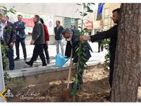 روز درختکاری 1401 14