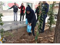 روز درختکاری 1401 1