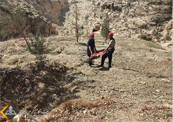 برگزاری دوره آموزشی  نجات در ارتفاع 4