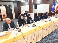 برگزاری سی و دومین نشست روسای آموزش شرکت های فرعی و مراکز آموزشی شرکت ملی نفت ایران 4