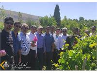 برگزاری اردوی سیاحتی ویژه کارکنان منطقه عملیاتی آغار و دالان 1