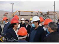 بازدید معاون وزیر نفت در توسعه و مدیریت سرمایه انسانی از منطقه عملیاتی خانگیران 9