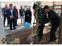 روز درختکاری 1401 3