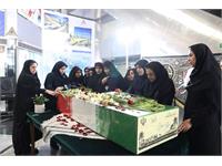 میزبانی شرکت بهره‌برداری نفت و گاز زاگرس جنوبی از شهید گمنام هشت سال دفاع مقدس 4