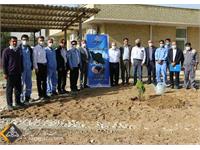 استقبال زاگرس جنوبی با کاشت نهای در روز درختکاری 16