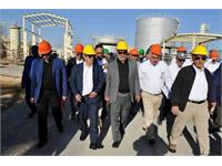 بازدید مدیر عامل ملی نفت 7