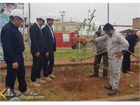 مشارکت شرکت نفت مناطق مرکزی ایران در جهاد ملی کاشت یک میلیارد درخت 5