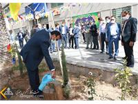 استقبال زاگرس جنوبی با کاشت نهای در روز درختکاری 3