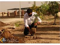 استقبال زاگرس جنوبی با کاشت نهای در روز درختکاری 9