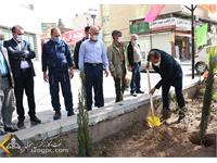 استقبال زاگرس جنوبی با کاشت نهای در روز درختکاری 26