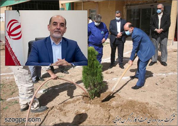 با کاشت ۳۱۰۰ اصله نهال، به وسعت ۱۶۱ هکتار فضای سبز شرکت نفت مناطق مرکزی ایران اضافه شد