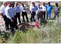 روز درختکاری 1401