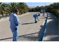 پوشش شبکه فیبر نوری ناحیه دالان 4