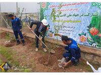 مشارکت شرکت نفت مناطق مرکزی ایران در جهاد ملی کاشت یک میلیارد درخت 8