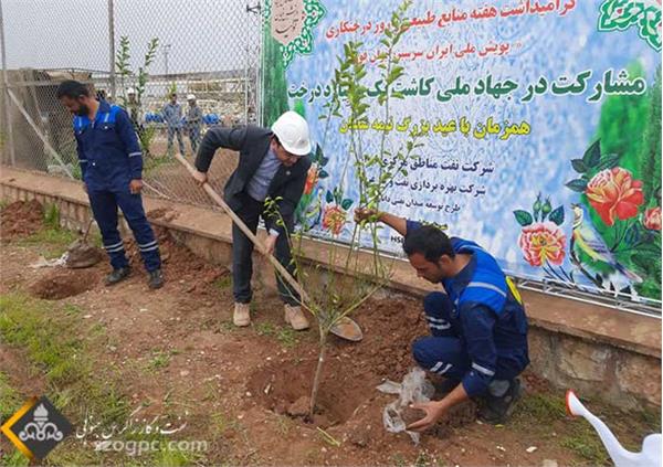 مشارکت شرکت نفت مناطق مرکزی ایران در جهاد ملی کاشت یک میلیارد درخت 8