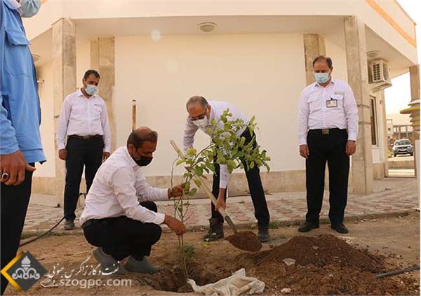 استقبال زاگرس جنوبی با کاشت نهای در روز درختکاری 5