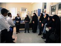 بازدید جمعی از بانوان متخصص از مناطق عملیاتی شرکت بهره برداری نفت و گاز زاگرس جنوبی 4