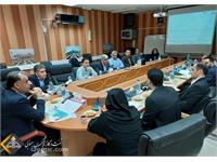 بررسی ساختار سازمانی میدان نفتی آذر 3