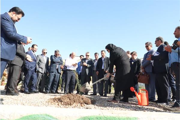 کاشت ۳ اصله نهال در منطقه عملیاتی سروستان و سعادت‌آباد 2