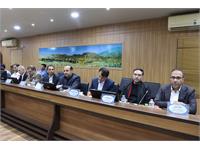 بازدید مدیرعامل نفت مرکزی از پروژه توسعه میدان گازی دی 4