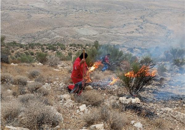 اطفاء حریق در کوهستانهای اطراف منطقه عملیاتی آغار و دالان 1