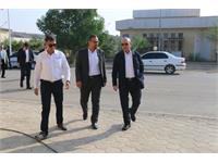بازدید مدیر عامل از منطقه سرخون آذر 1403 7