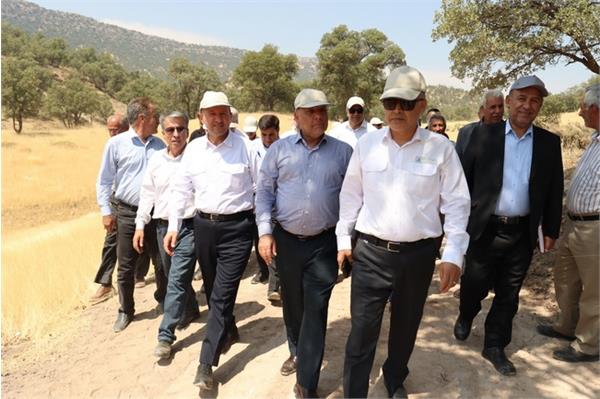 بازدید مدیرعامل شرکت نفت مناطق مرکزی ایران از میدان گازی مختار در استان کهگیلویه و بویراحمد 15