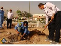 استقبال زاگرس جنوبی با کاشت نهای در روز درختکاری 8