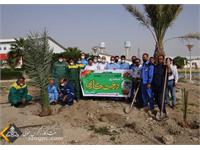 استقبال زاگرس جنوبی با کاشت نهای در روز درختکاری 19