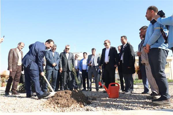 کاشت ۳ اصله نهال در منطقه عملیاتی سروستان و سعادت‌آباد 1