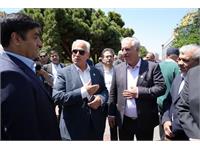دومین روز بازدید مدیر عامل از بیست و نهمین نمایشگاه صنعت نفت 9