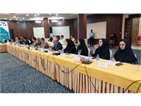 برگزاری سی و دومین نشست روسای آموزش شرکت های فرعی و مراکز آموزشی شرکت ملی نفت ایران 16