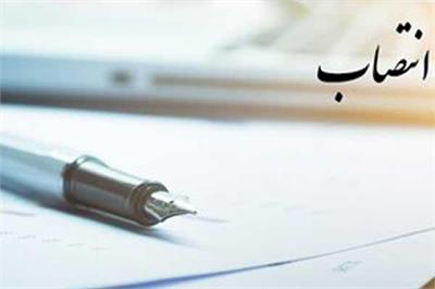 رئیس دفتر مدیرعامل شرکت ملی نفت ایران منصوب شد