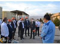 بازدید مدیرعامل از منطقه عملیاتی سروستان و سعادت آباد 13