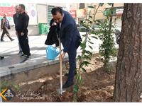 روز درختکاری 1401 2