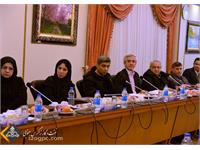 نشست مدیران و رؤسای امور مالی شرکت نفت مناطق مرکزی و شرکت های تابعه برگزار شد 8