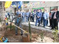 استقبال زاگرس جنوبی با کاشت نهای در روز درختکاری 2