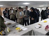 برگزاری دومین جشنواره غذا برای خانواده های زاگرس جنوبی 5