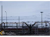 تلاش کارکنان نفت و گاز شرق در تولید پایدار گاز در شمال شرق کشور در شرایط سرد زمستانی+تصویر 3