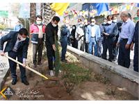 استقبال زاگرس جنوبی با کاشت نهای در روز درختکاری 23