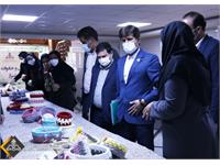 تجلیل از بانوان شاغل در زاگرس جنوبی به مناسبت روز زن  18