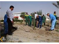 استقبال زاگرس جنوبی با کاشت نهای در روز درختکاری 18